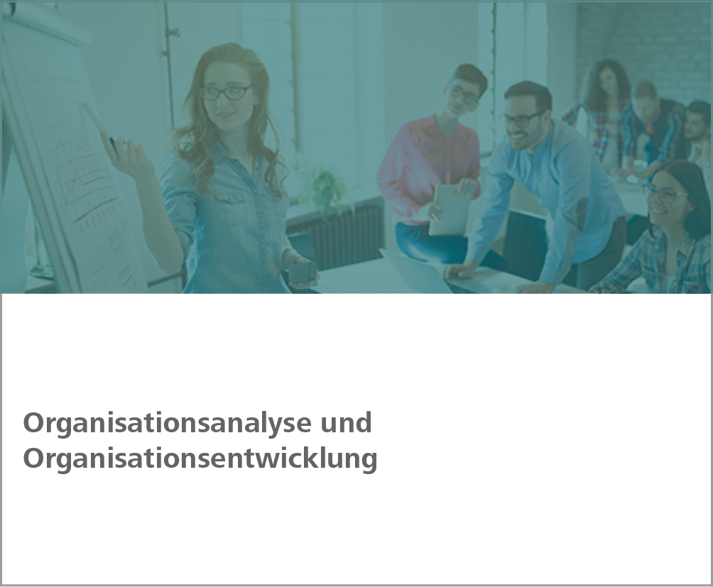 Weiterbildung Organisationsanalyse und Organisationsentwicklung