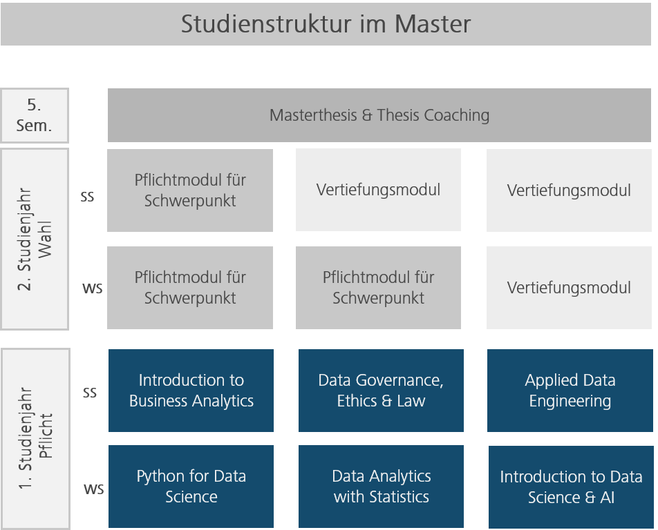 Studienstruktur DS